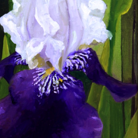 White and Purple
9x12 Oil on Canvas (Unframed)